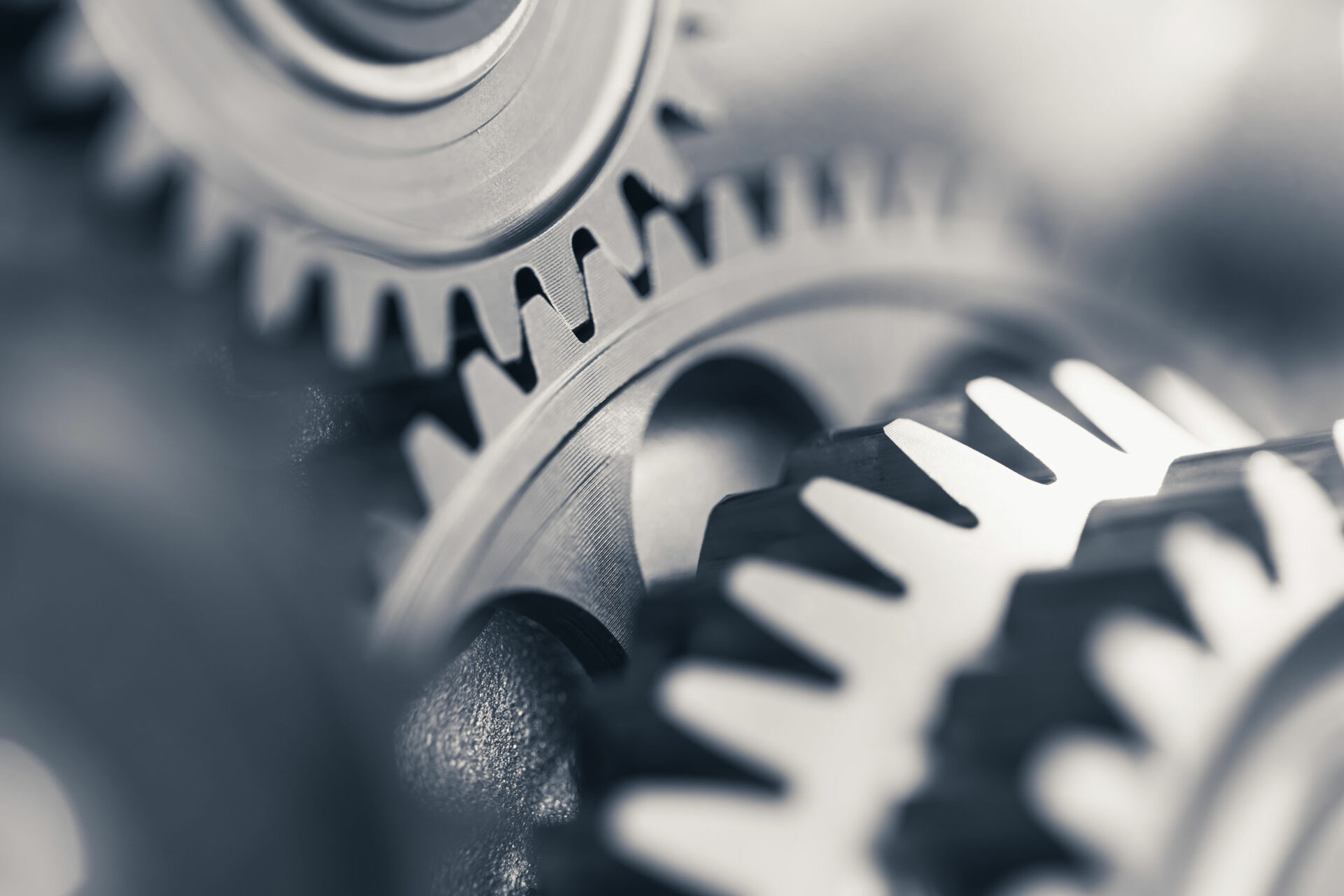 ibc-succession-planning