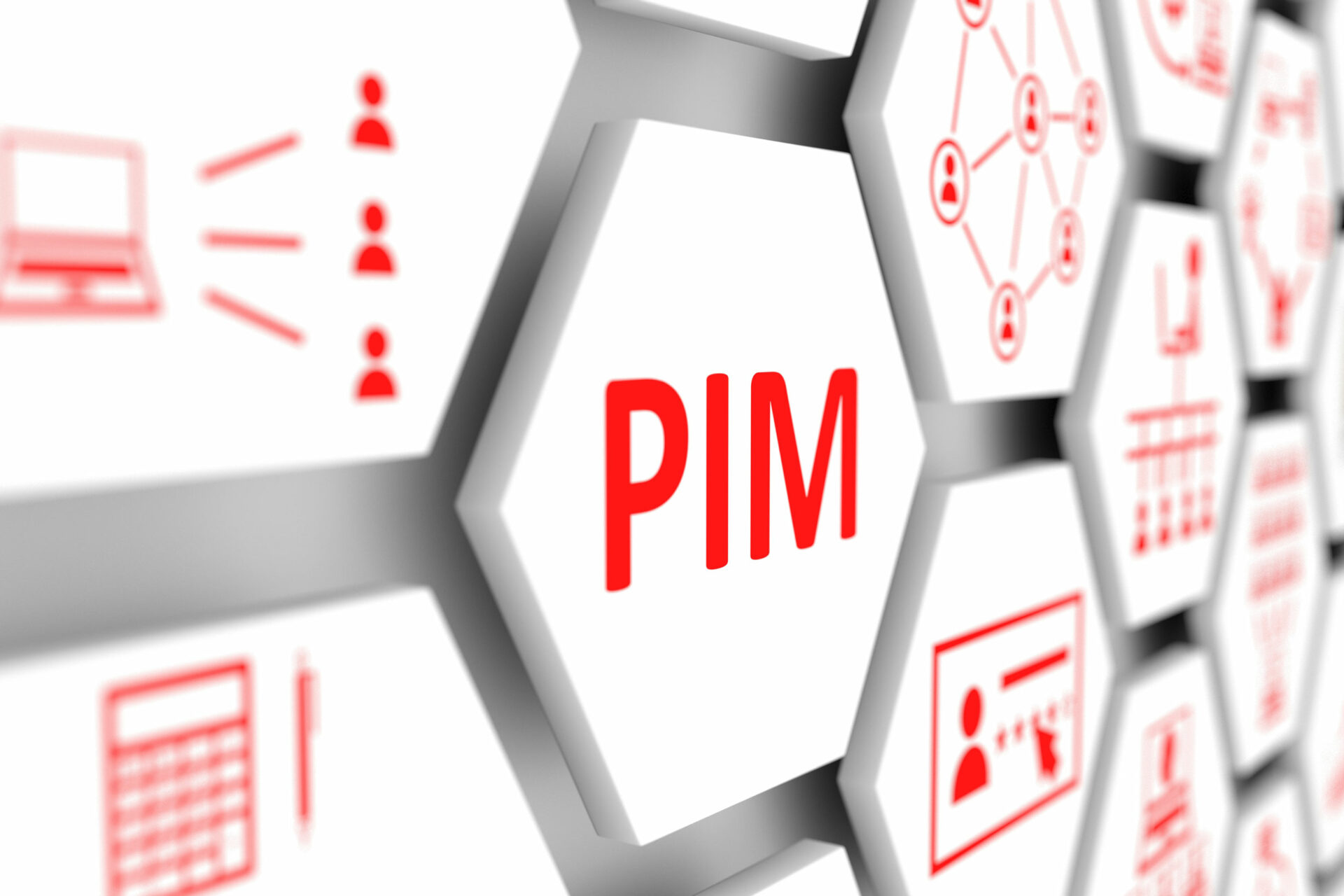 ibc-e-branch-pim-program